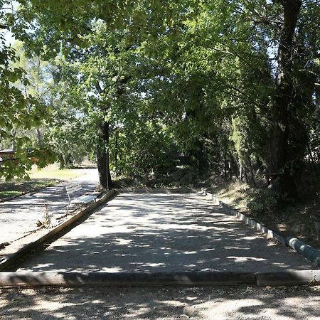 乐玛斯杜威克斯查尼度假屋 Saint-Paul-en-Forêt 外观 照片